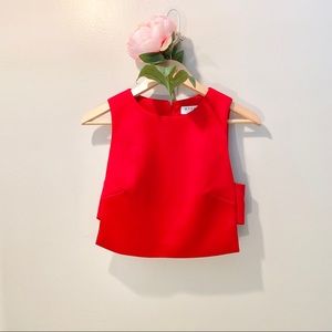 Keepsake Ruby Red Crop Top